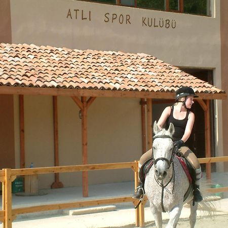 Iksir Resort Town Daday Exterior foto
