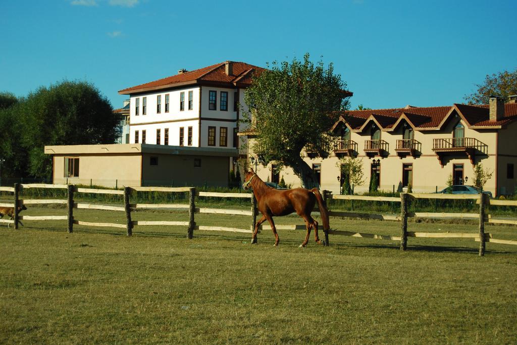 Iksir Resort Town Daday Exterior foto
